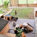 Am Alten Speicher 2 度假居 费马恩