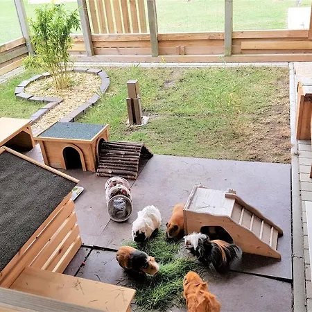 Am Alten Speicher 2 Сasa de vacaciones Fehmarn